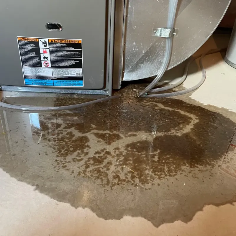 Appliance Leak Cleanup in Allendale, MI